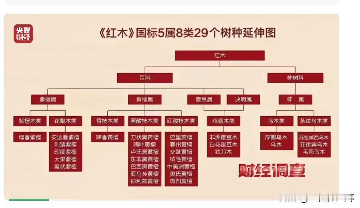 《红木》国标5属8类29个树种全解析，带你深入了解红木世界！🌳💡
