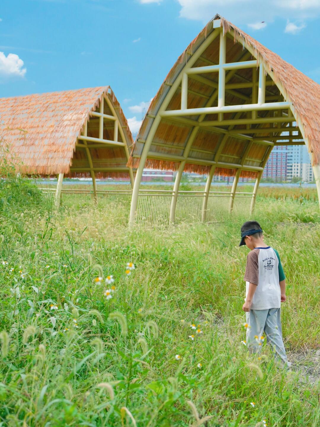 这里是乐清啦‼️每次来来回回都会忽略得地