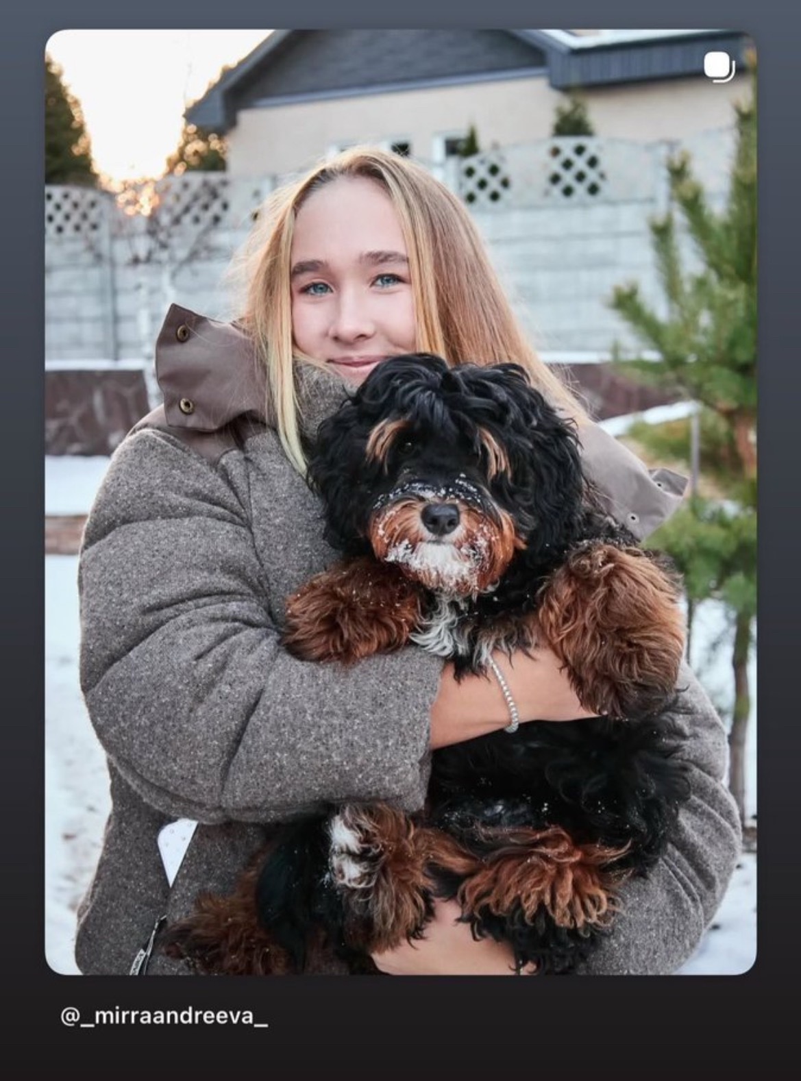 网球talking大会 安德烈耶娃在休赛期间，终于养了一只自己心心念想的小狗，有