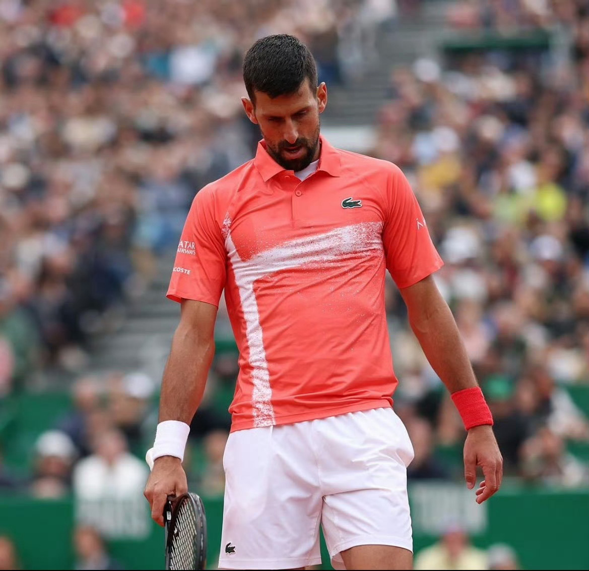 德约科维奇退出蒙特卡洛大师赛 继迈阿密后再退红土首站，2011年来首次缺席，全力