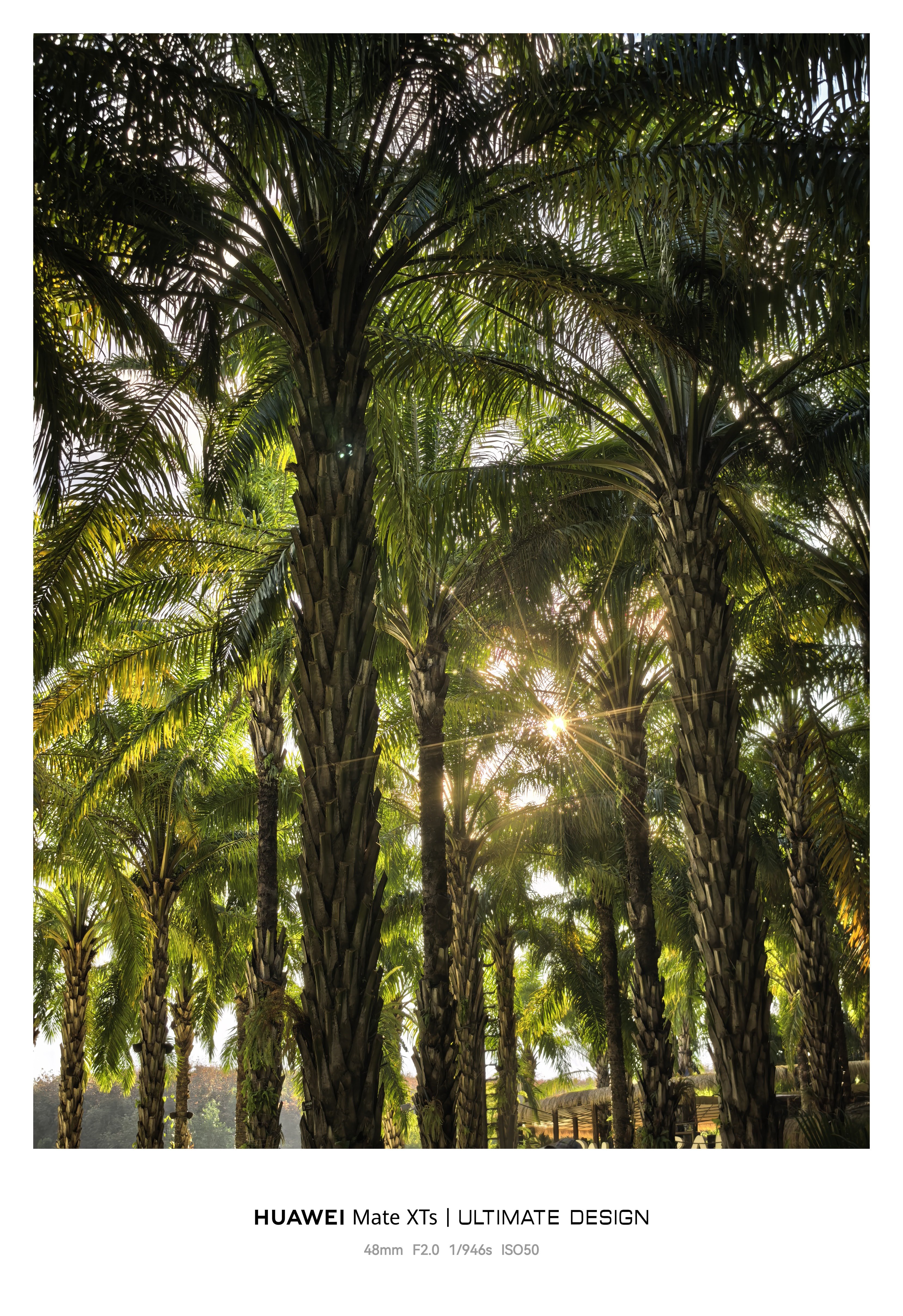 元旦游记碎片！祝大家明天上班快乐，坚持，坚持，下次放假就是过年了。。2026第一