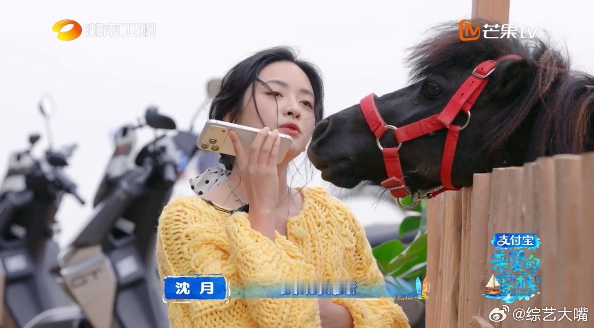 沈月何炅双向奔赴太好哭了 羡慕这种不用刻意维系的感情，何炅默默付出温柔守护，沈月