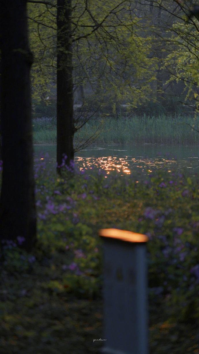 迷茫时，可以随意登上一辆公交车，坐到头，观察人群。悲欢离合会让你清醒认识到自己已