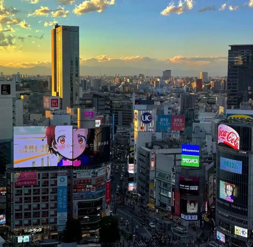 𝑺𝒉𝒂𝒓𝒆｜小众风格背景图 