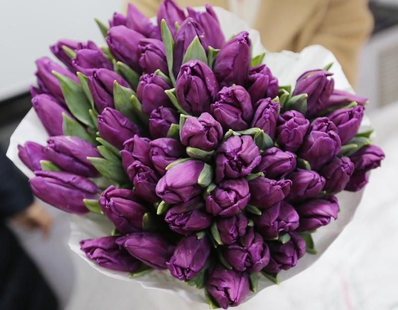 国民党11月1日要举行党主席交接仪式，前民代郑丽文当选新主席，现任主席朱立伦月底