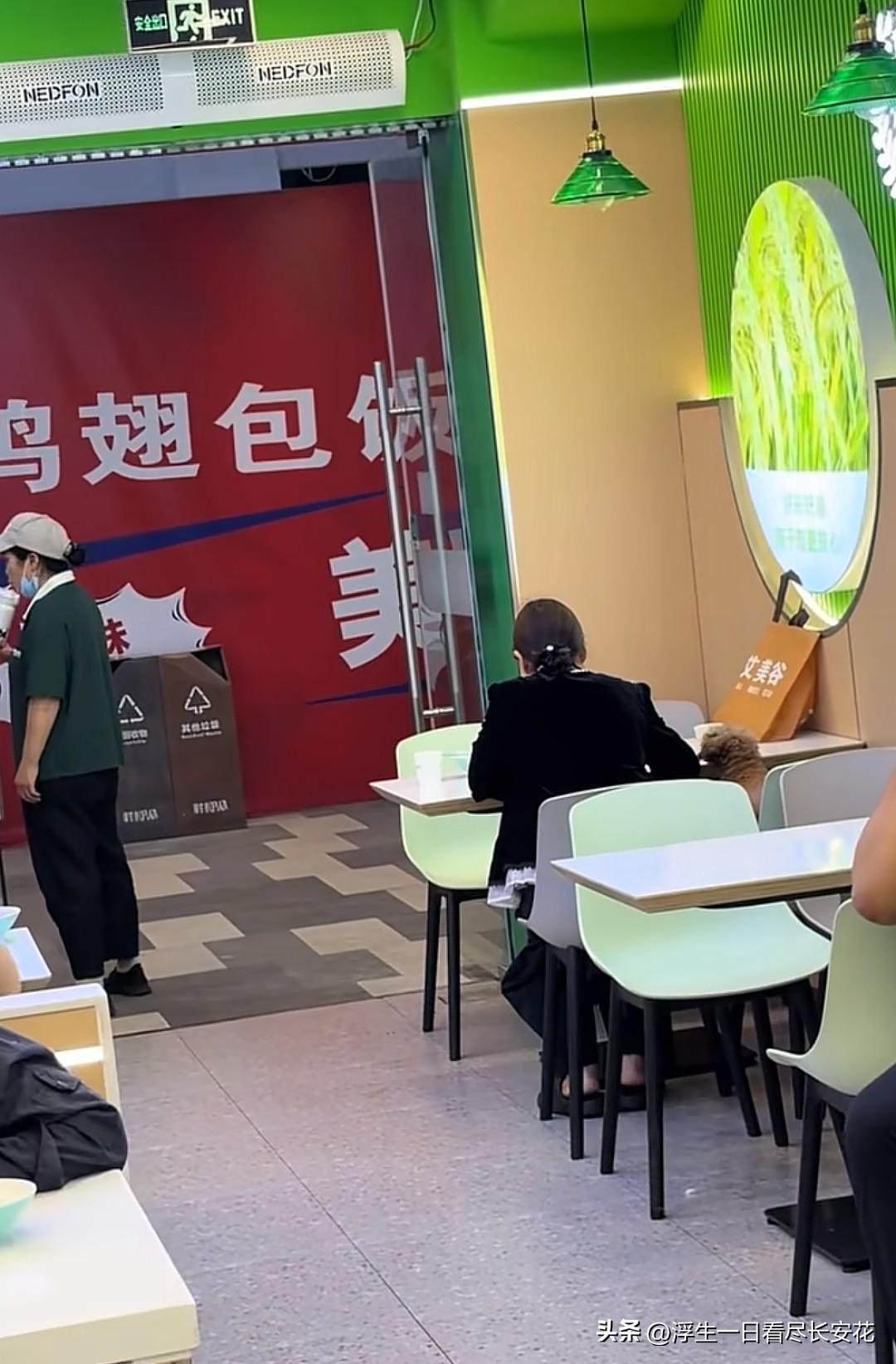 狗上桌，这次轮到浙江宁波的萃佰味中式自选餐（邱隘店）了。还是这种探头探脑的小型犬