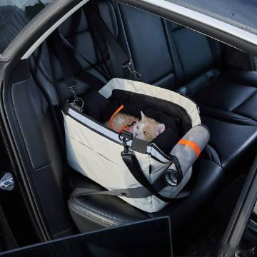 各位铲屎官们，你们平时如果开车带宠物出门，最希望车里能增加什么功能？【来自懂车帝