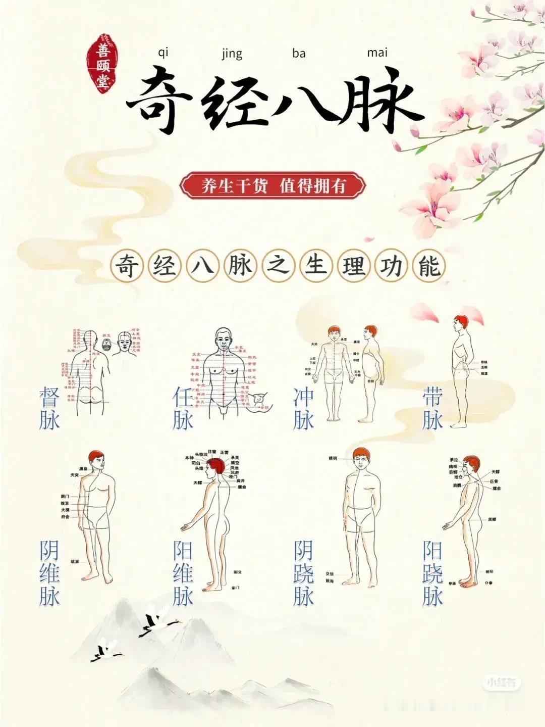 你是否好奇过身体中的奇经八脉到底有什么奥秘？今天就来为你揭秘奇经八脉的生理功能，