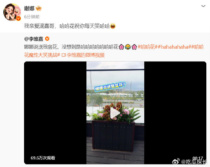 谢娜回应送李维嘉花 谢娜回应给李维嘉送花，这个笑声也太洗脑了吧！一起笑哈哈！！！