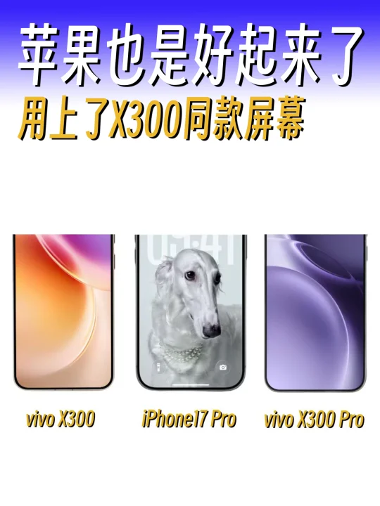 苹果也是好起来了，用上了X300同款屏幕