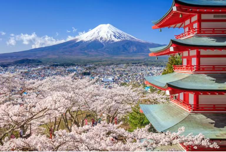 昨晚，和一位在日本的朋友聊天，他透露了两个实情，情况真的挺严峻了！

第一个是，