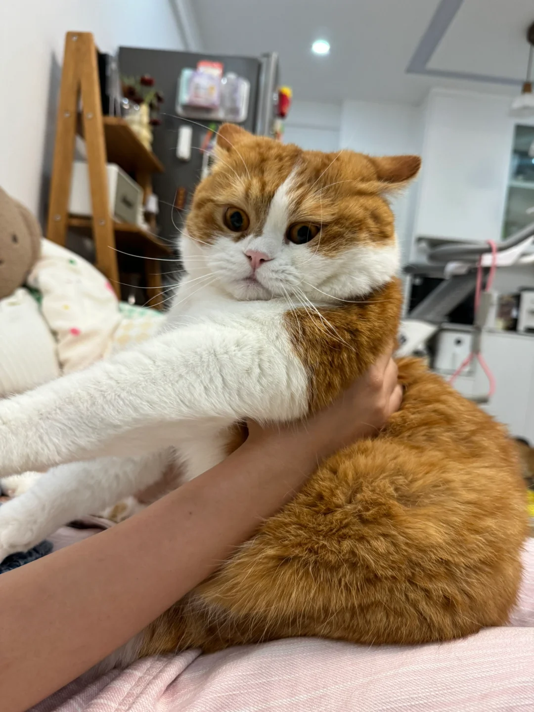 妈妈亲亲怎么了！