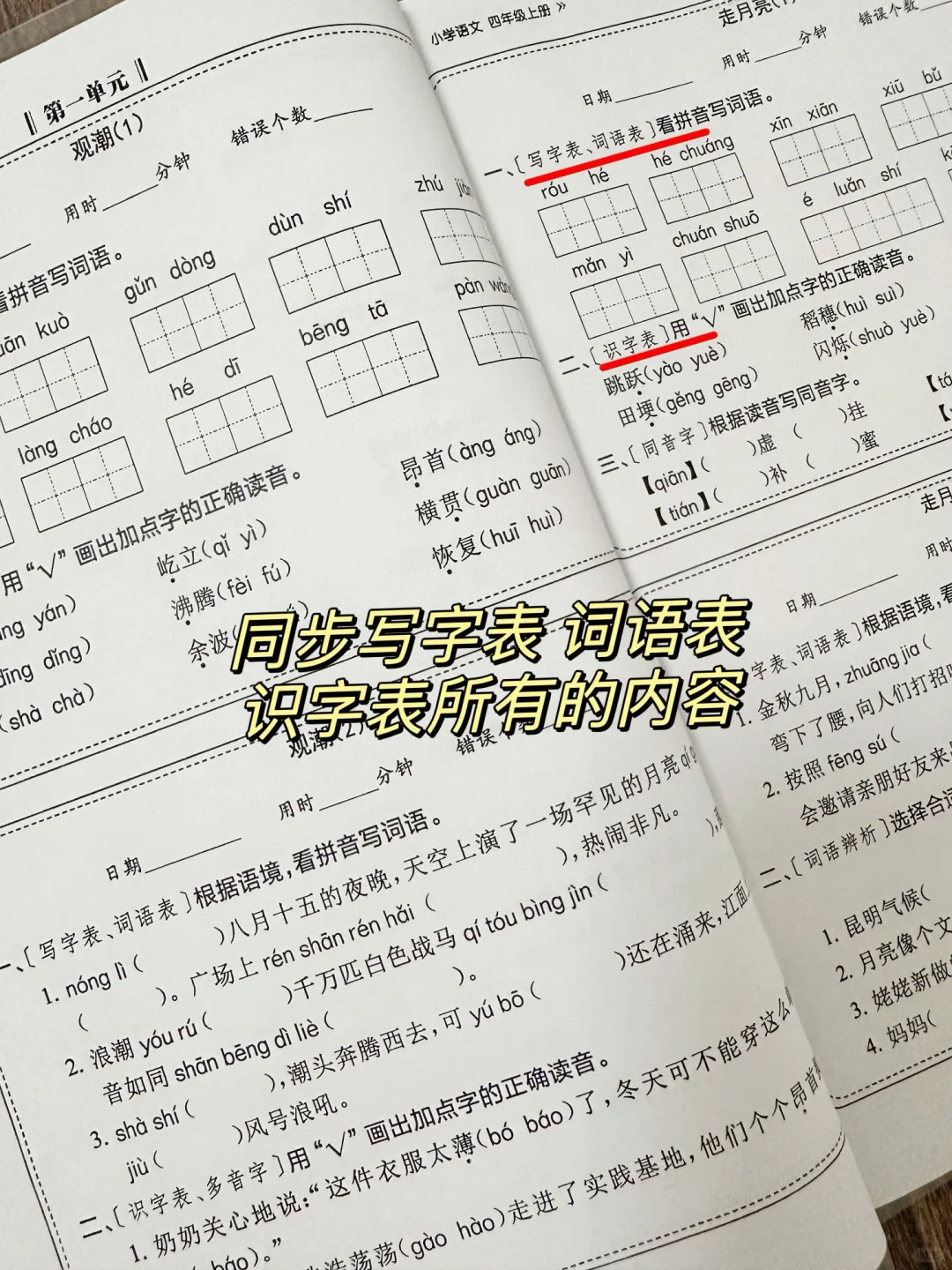四年级上册语文，每日默写小纸条👇太赞了👍