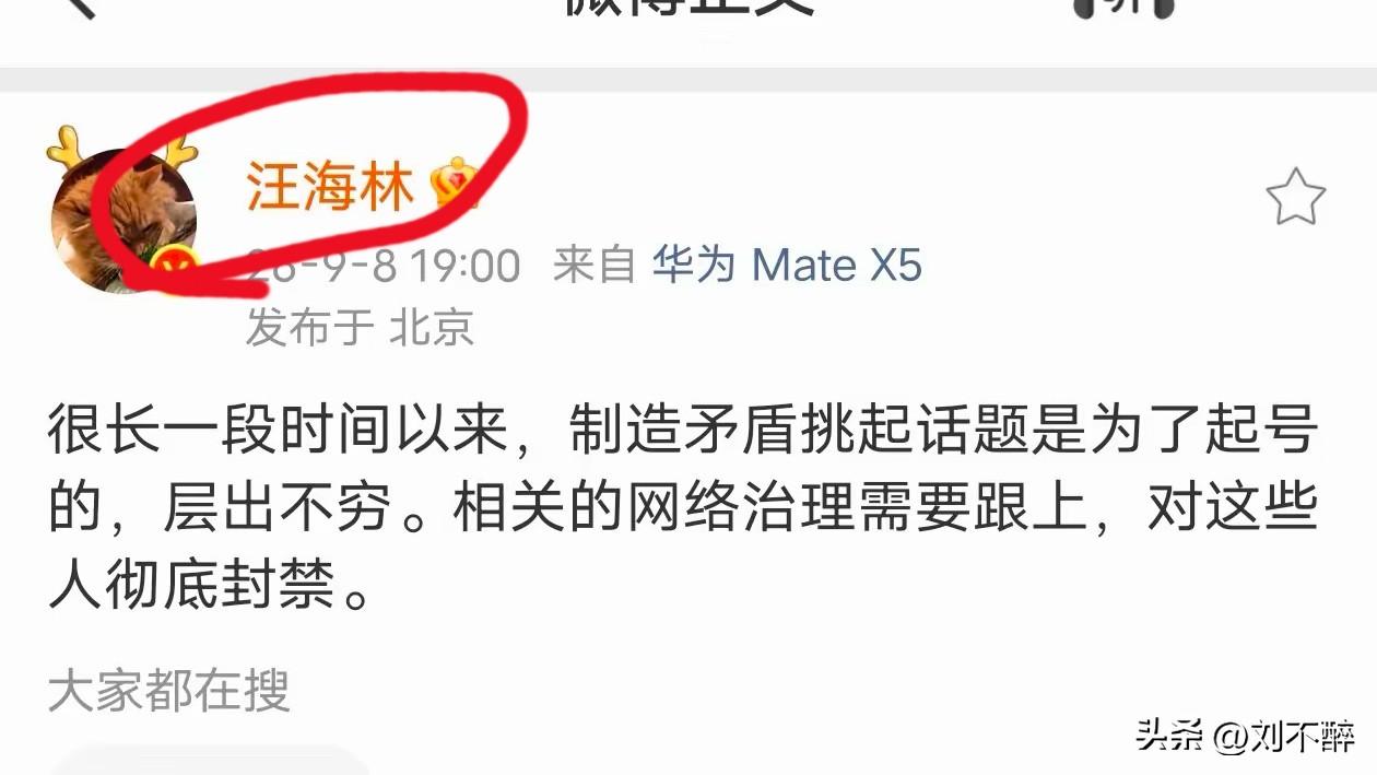 汪海林这段话一针见血，应当引起重视！
当下互联网上，有一类账号十分典型，不以输出