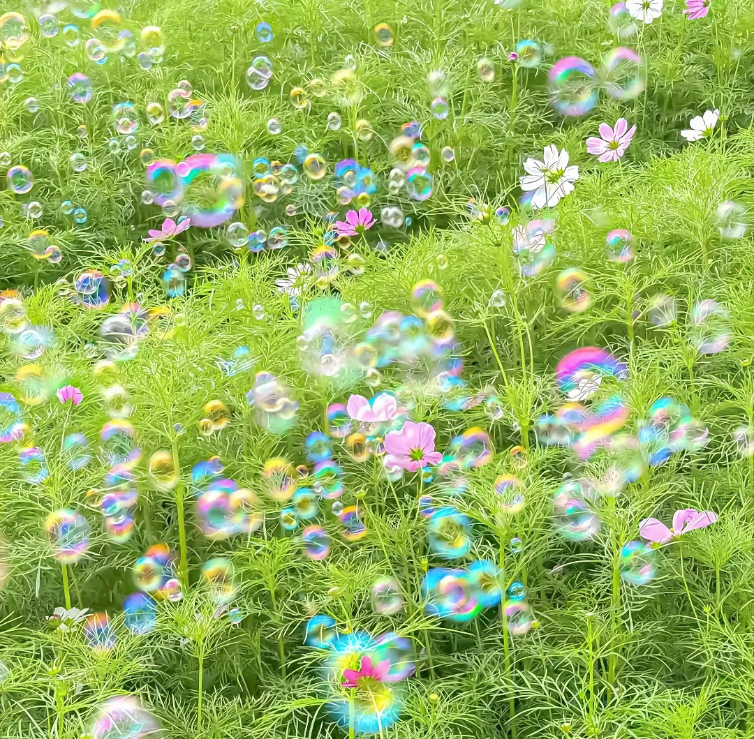 袁冰妍 生活，需要一点阳光，生命，需要一些勇敢，纠结过去，担心未来，都不如抓住当