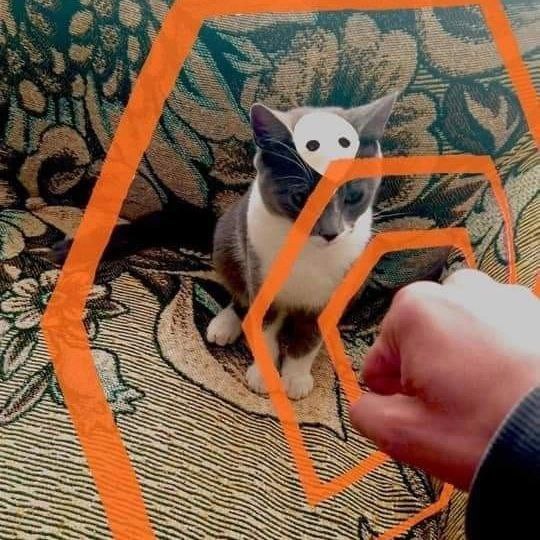 这是什么动画[doge] ​​​