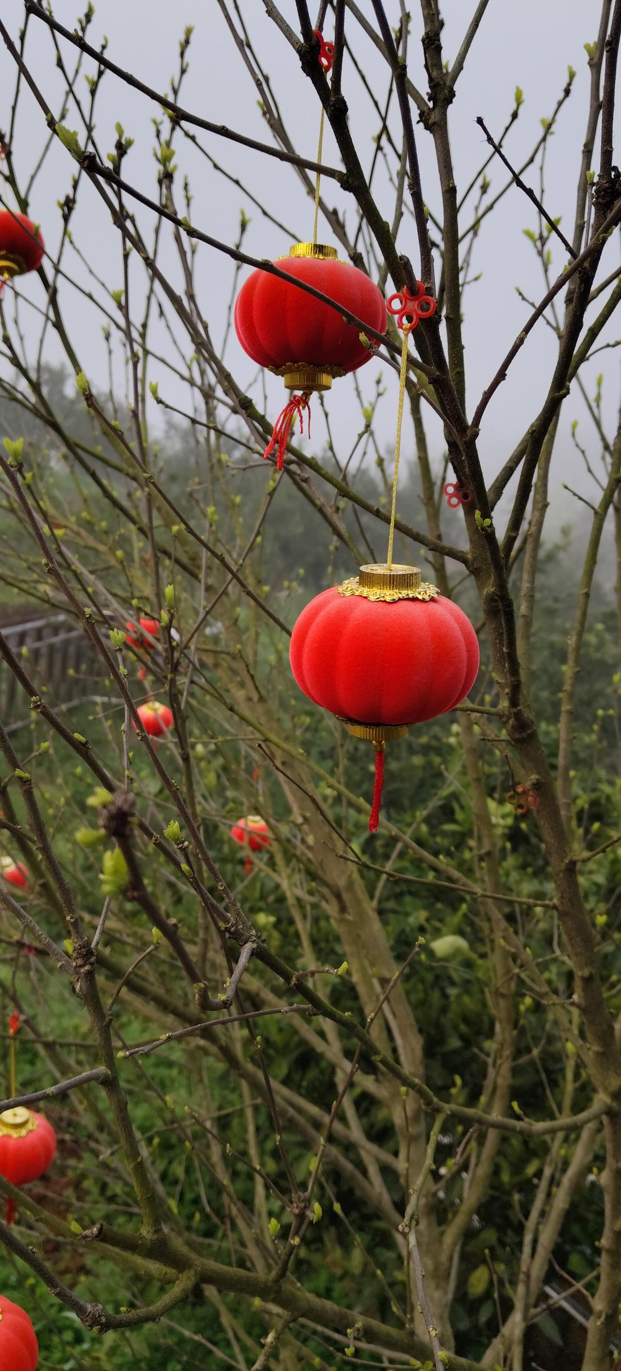 幸福这东西，每个人的答案都不一样。对我来说，幸福有时是下班回家，家里亮着灯，桌上
