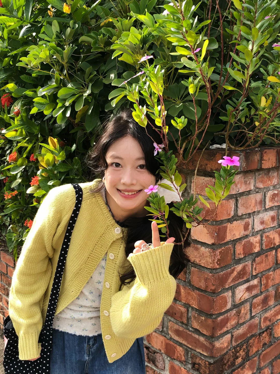 🇲🇴路环岛彩色碎片ᜊ˃ ᵕ ˂ᜊ