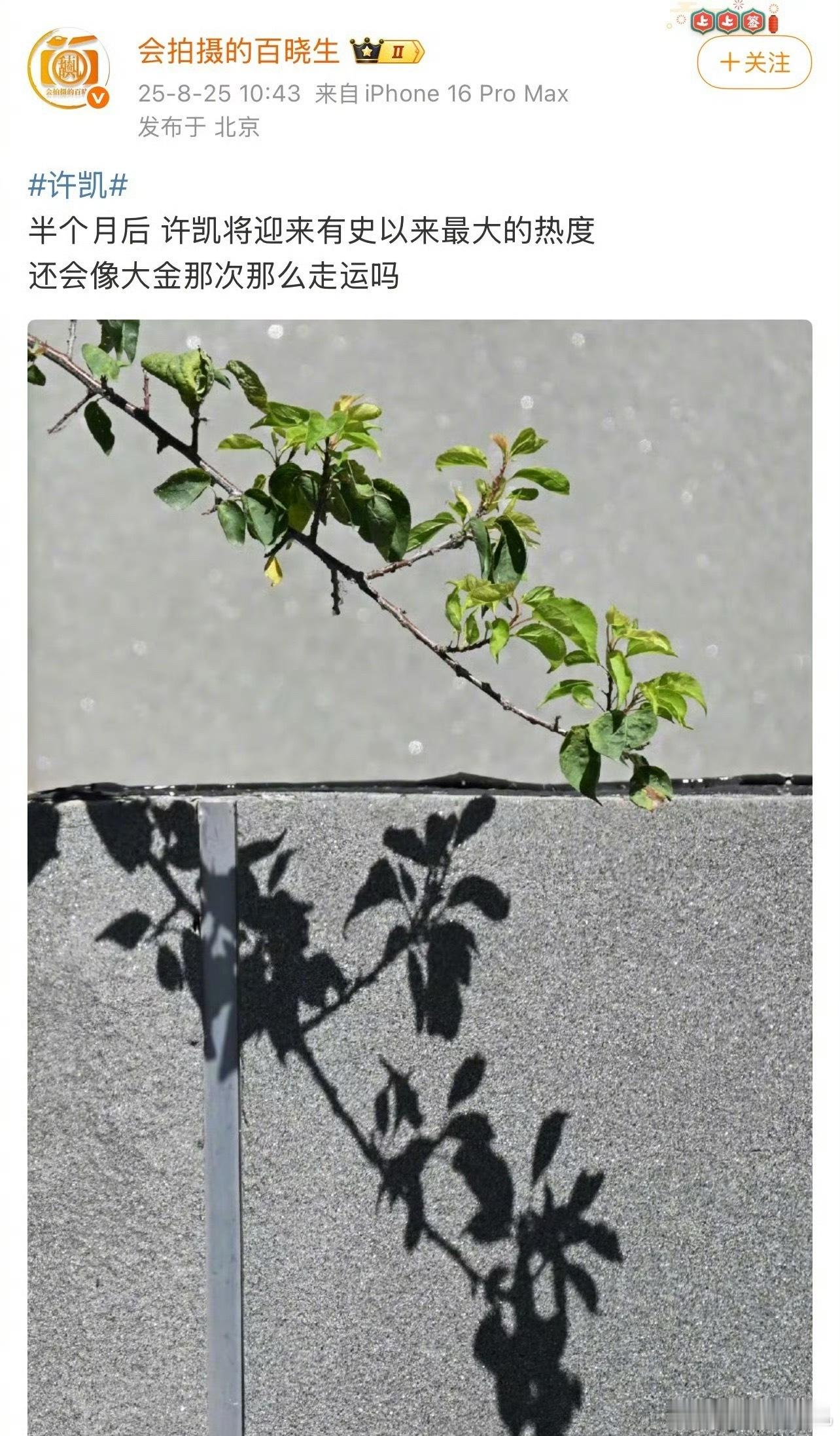 曝许凯将迎来有史以来最大的热度怎么提前半个月预热，是要给人家打心理战，还是打算让