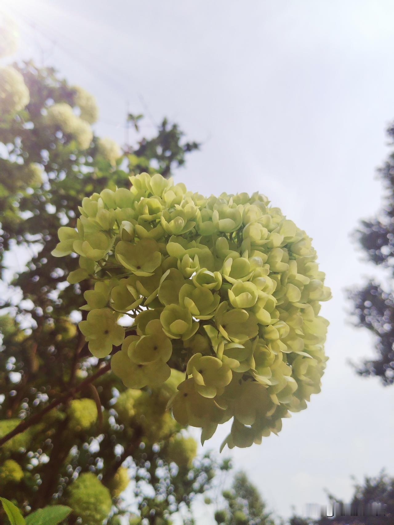 真的是气死我了！
这么多年从他患鼻咽癌开始，我就一直活在恐惧自责当中，好不容易才