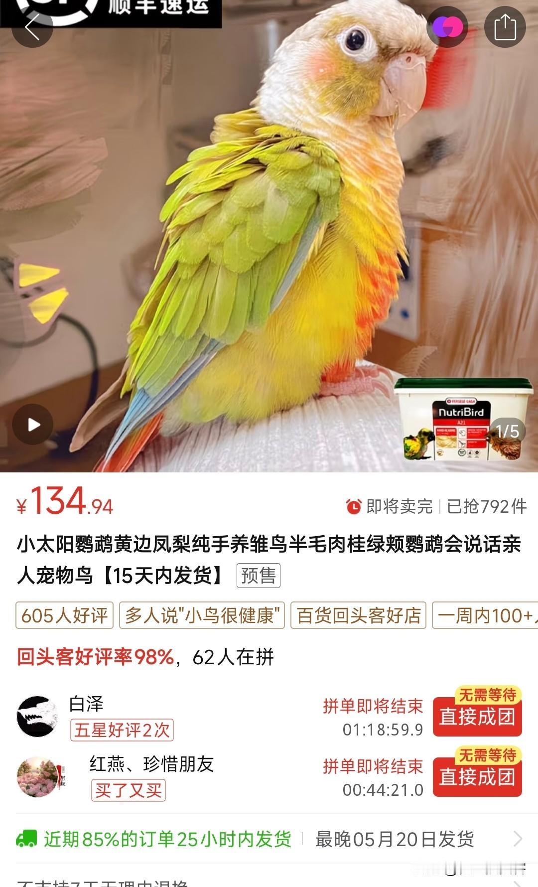 真没想到，900元的小太阳现在只要130元！2800元的和尚鹦鹉已经600元！