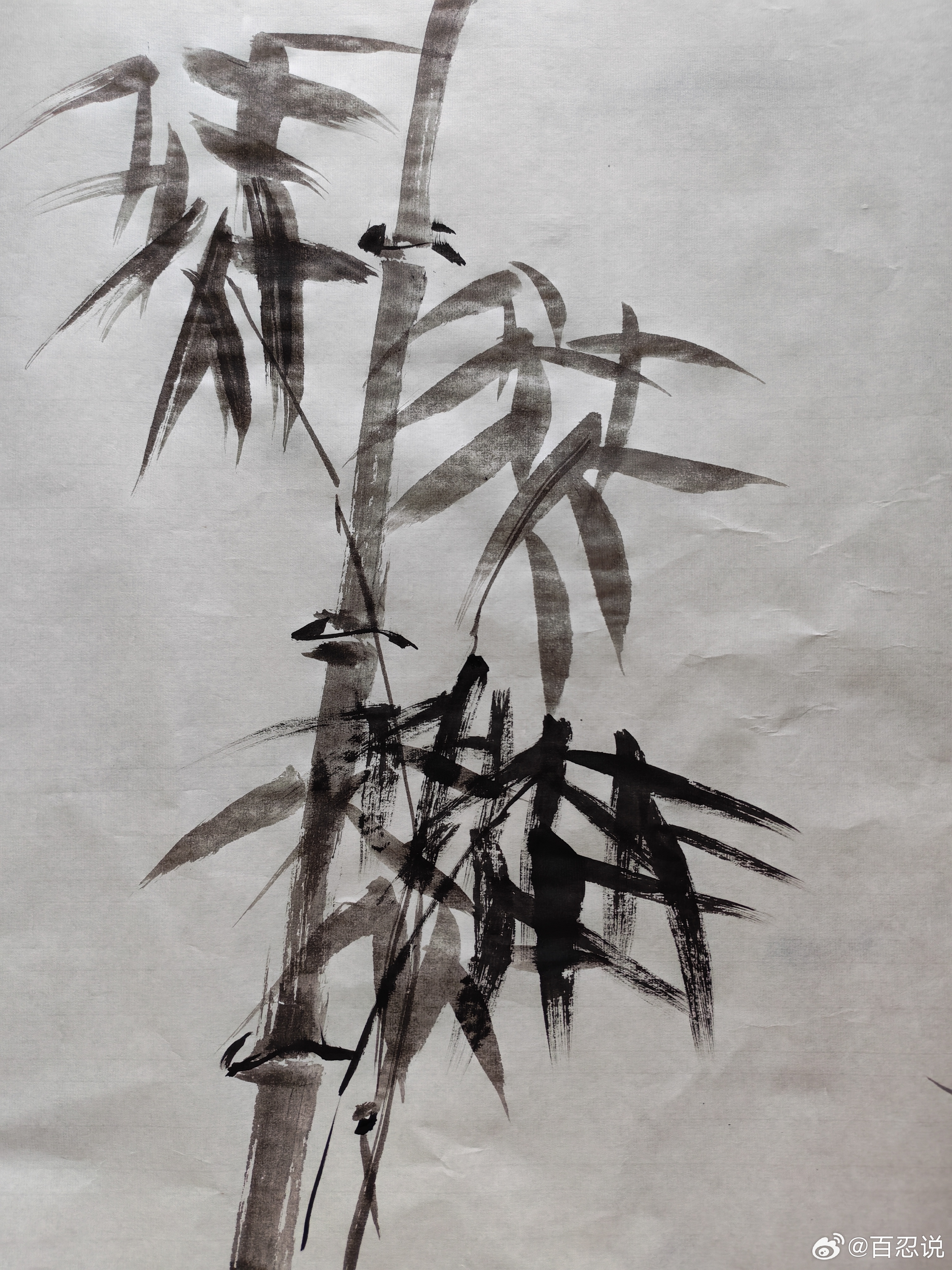 向上的生长 