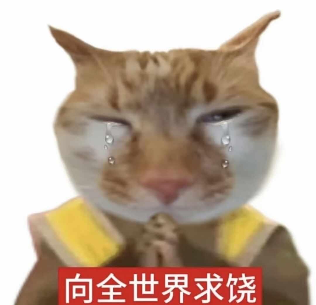 26岁Java女 被裁转战Agent开发的三个月
去年公司裁员潮来袭，看着组里老