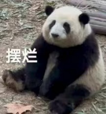 太符合我上班精神状态了 ​​​