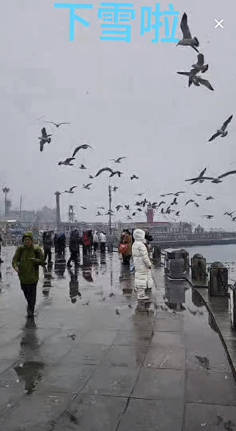 大连第一场春雨，从夹着冰碴儿到飘雪花，同城同一时段感受雨雪变化，也是这个城市的浪
