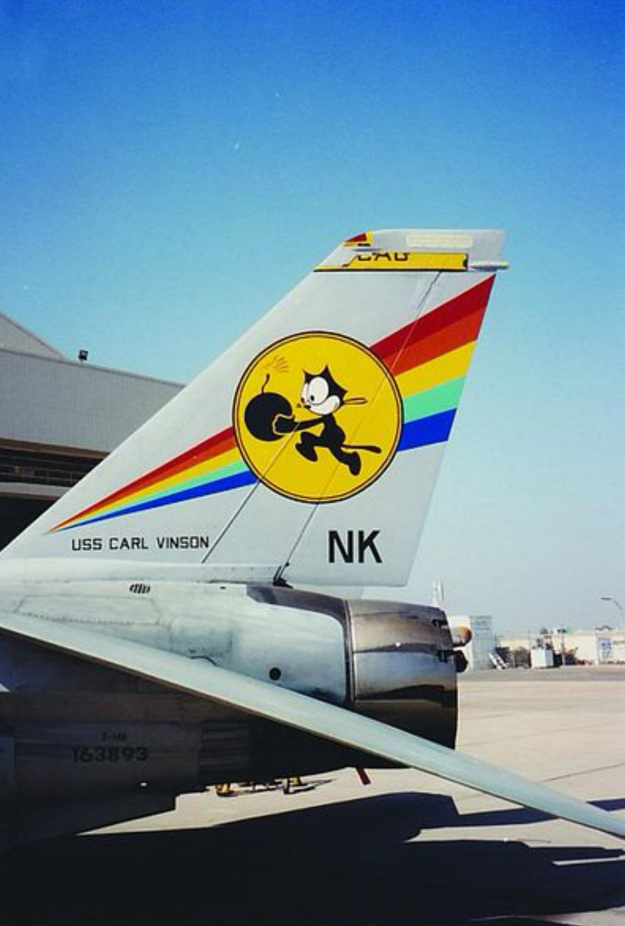 猫宁。F-14大猫们的彩虹垂尾涂装 ​​​
