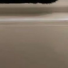 温柔以待，善意相伴，便是对生活最好的回应。每日留一份善念在心底，付诸一份善举在日