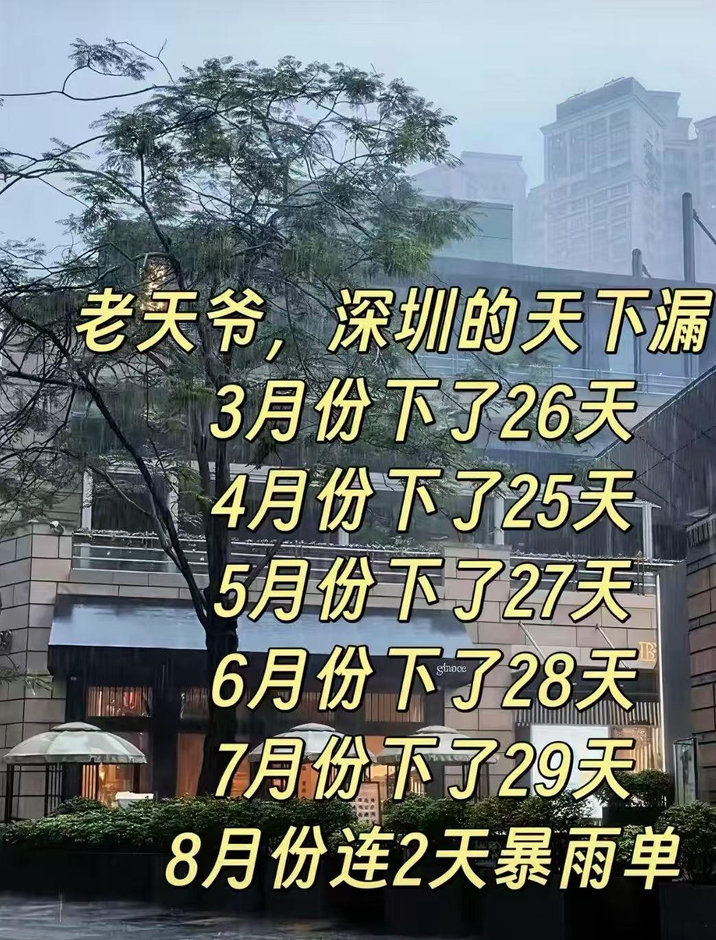 雨雨雨☔️☔️☔️深圳的天被谁捅漏了