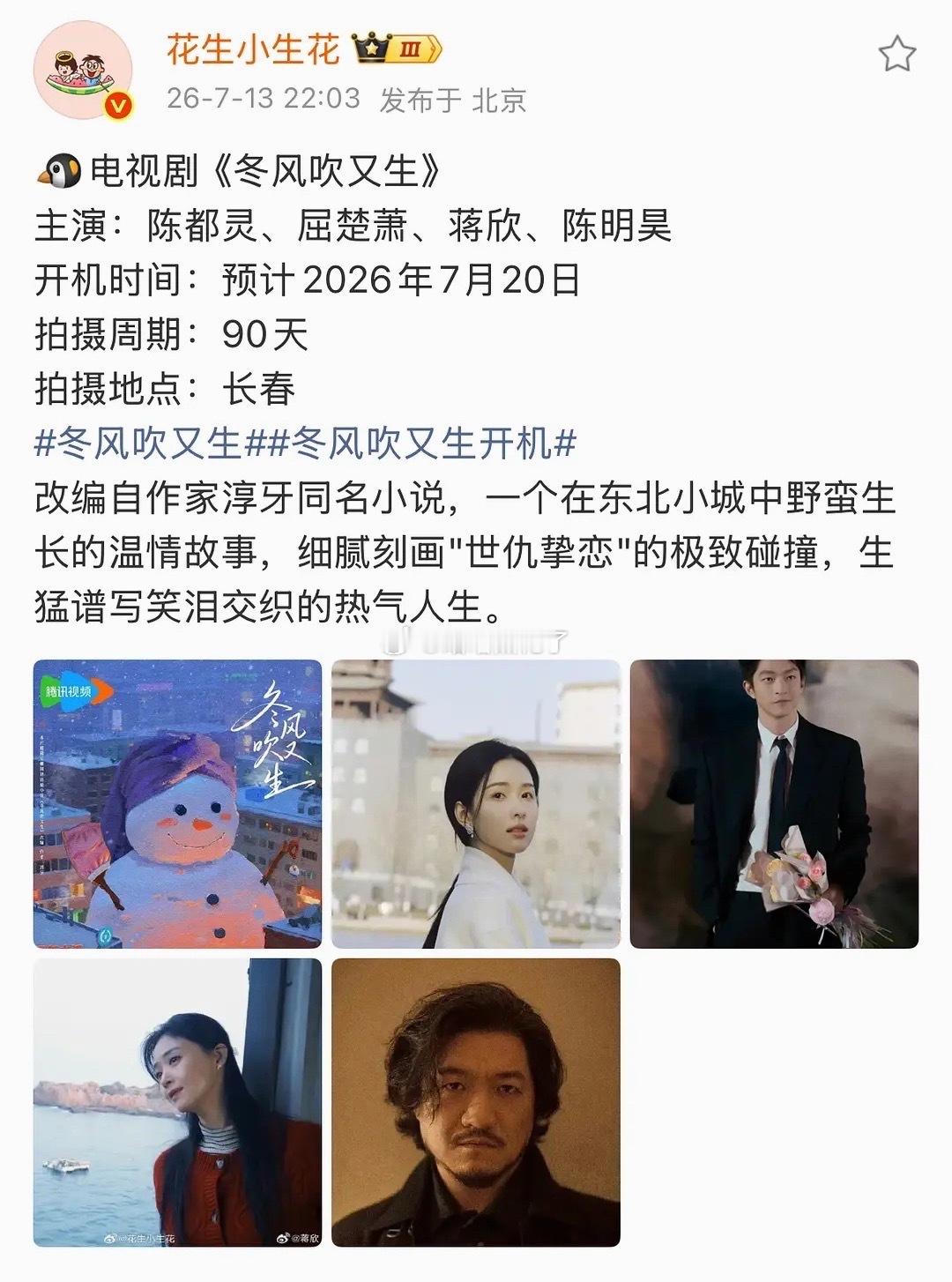 陈都灵可以啊，加入冬风吹又生后，项目从S升级成S+了，她回报率是真高，宣的每一部