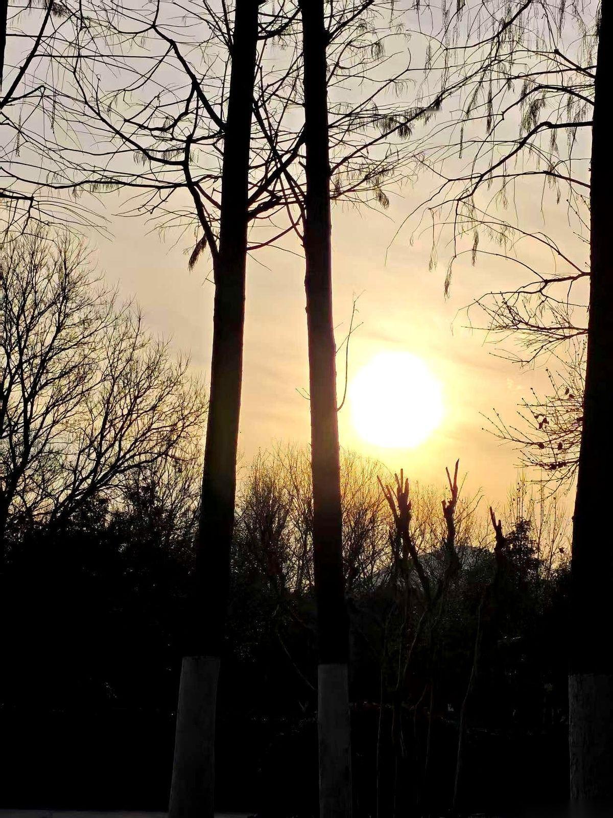 我爸今年一共灌了70斤香肠。
70斤！
我一开始还纳闷，说咱家是准备把这当饭吃吗