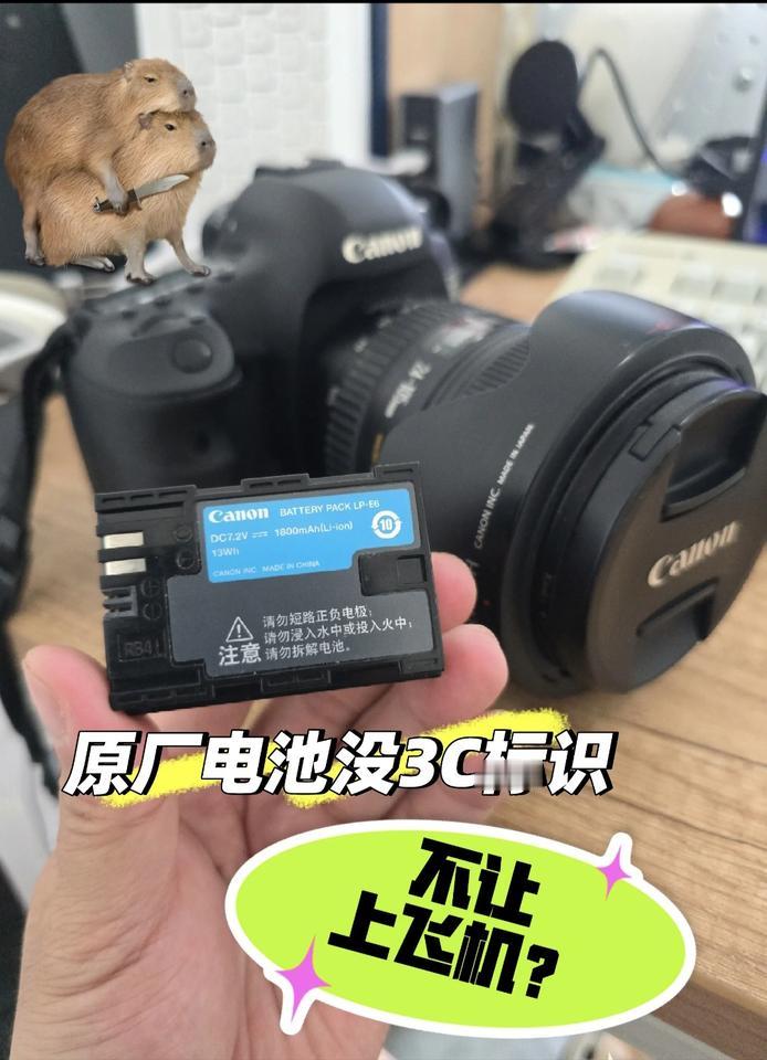 天塌了。。。明天起原厂相机电池也不行？刚看了消息，一同行博主的充电宝在机场被扣了