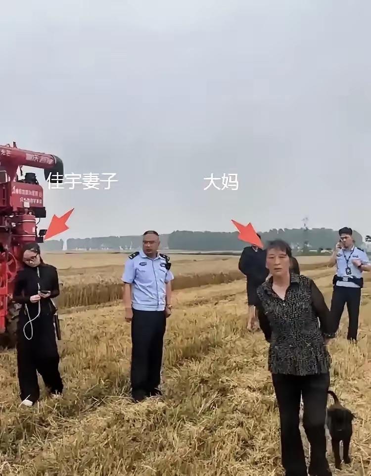 “太寒心了！”河南一对95后小夫妻为帮襄阳农户抢收小麦，开着农机千里救粮，谁知谈
