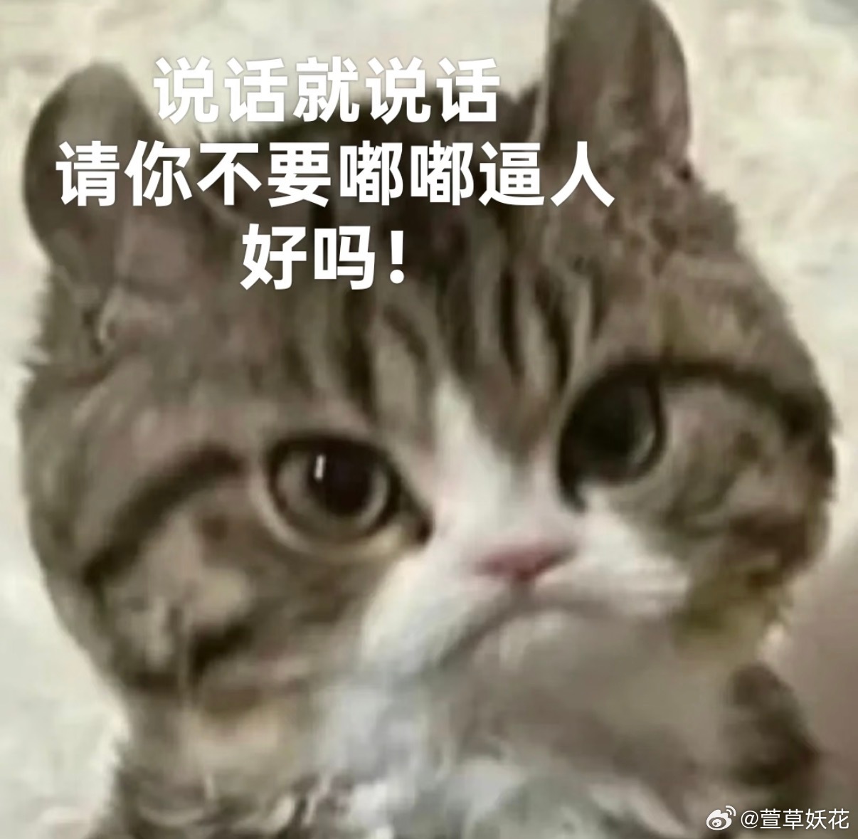 我给兜崽买了一盒丙烯马克笔，24 色 9.9 买的，很便宜。结果他特别骄傲的念叨