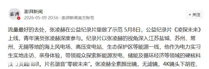 张凌赫把流量送进风电场

流量往哪儿去，这几年吵翻天。有人嫌明星公益像摆拍，有人