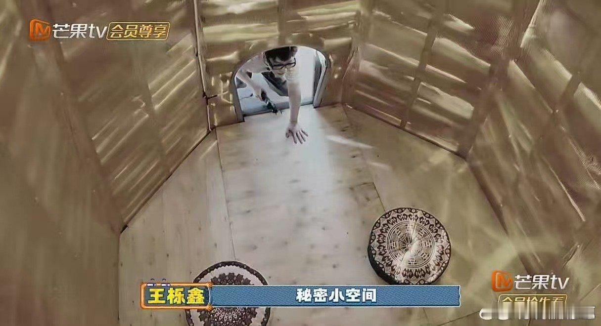 王栎鑫遇到梦中情房了 快乐老友记哇！王栎鑫的梦想开花结果，巨型树屋成为他的温暖港