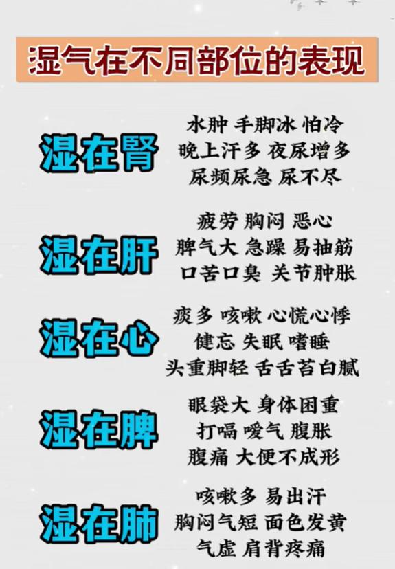湿气停在不同脏腑，身体会有哪些表现？