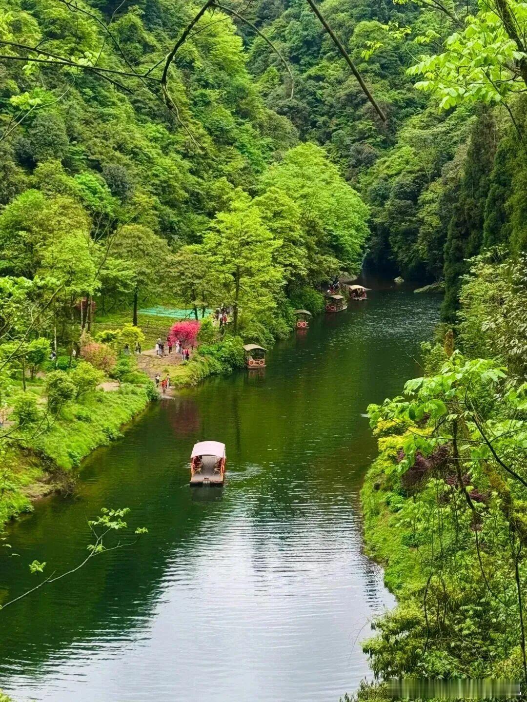 夏天的治愈感，永远藏在四川的山野绿意里🍃 成都出发两日小众避暑路线亲测舒服！安