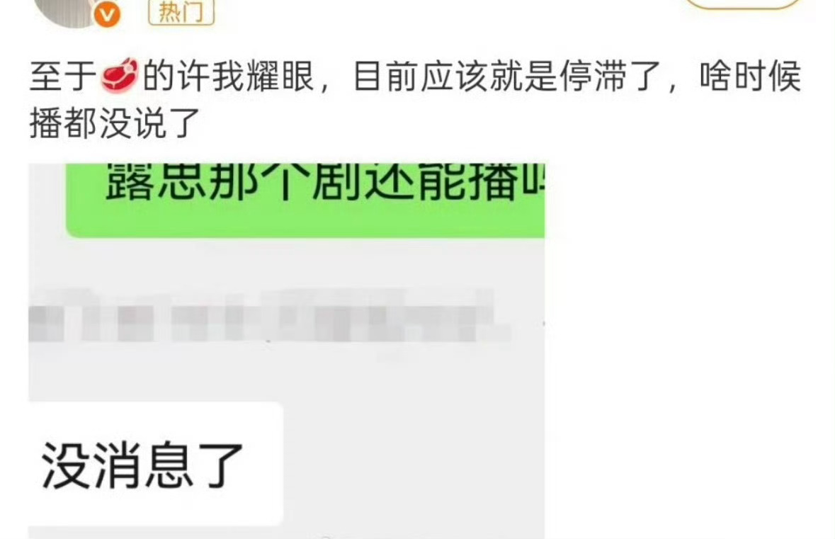 瓜主说的 赵露思主演的《许我耀眼》停滞了[思考] ​​​