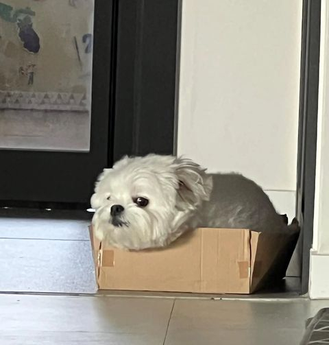 回家就只会玩手机 ​​​