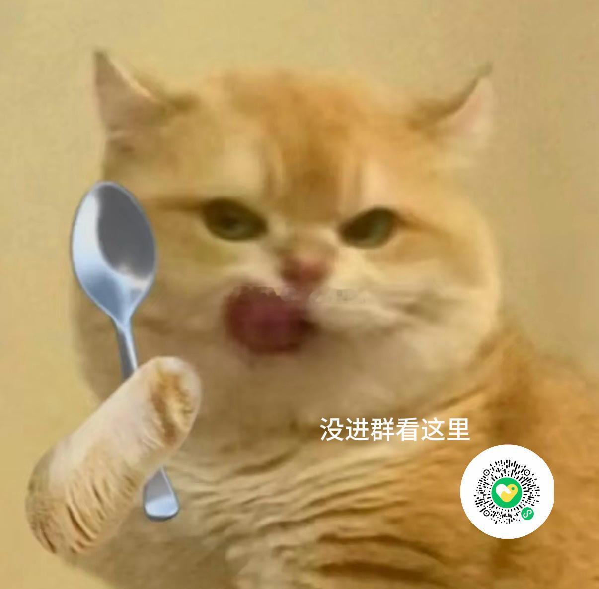 发啦发啦