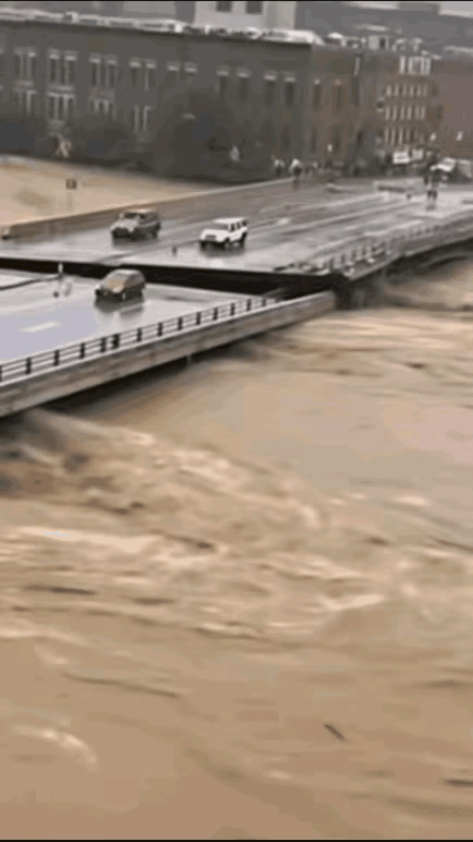 桥都这样了还执意要过？