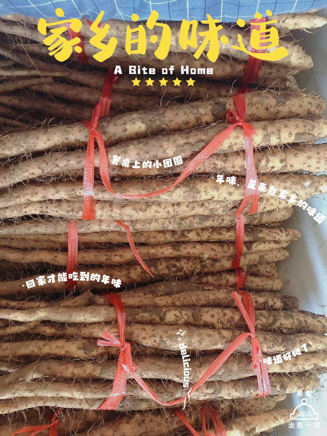 新鲜怀山药，2023年开挖了！