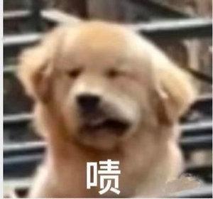 #张凌赫4年多拍15部剧#其实也挺辛苦的，不过我对张凌赫的印象还是苍兰诀的配角和