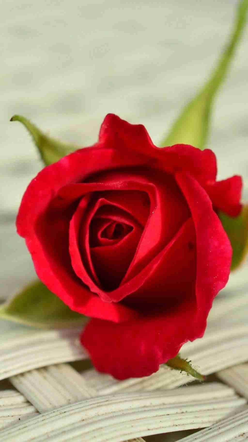 我的今日状态：🏝️旅行度假
我这里的天气：☀️晴天
我以赤诚立誓，不负岁月，不