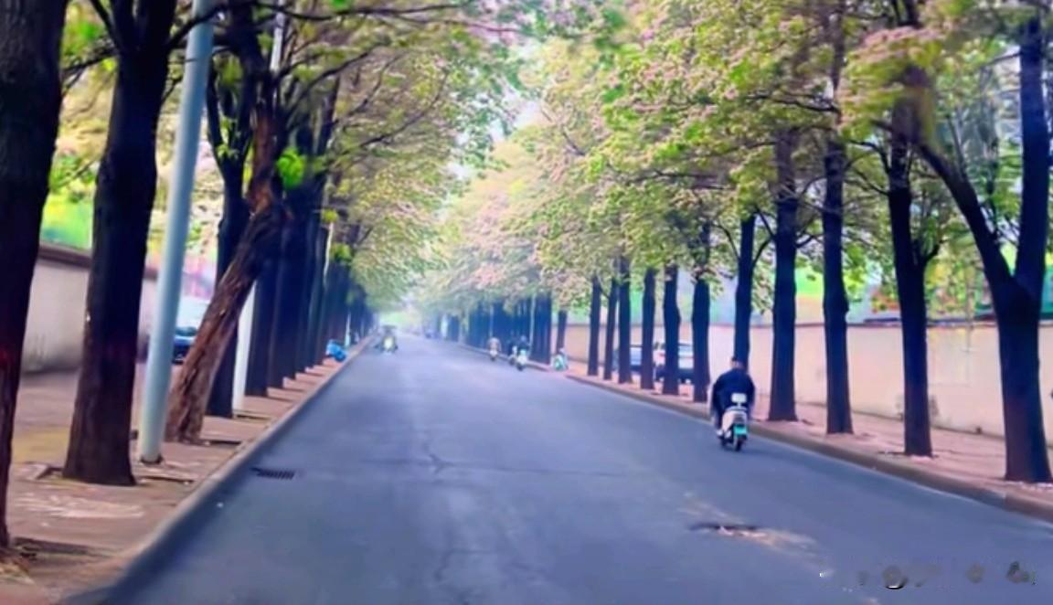 把那些沉重的过往轻轻放下，不是为了遗忘，而是为了更轻盈地走向前方。