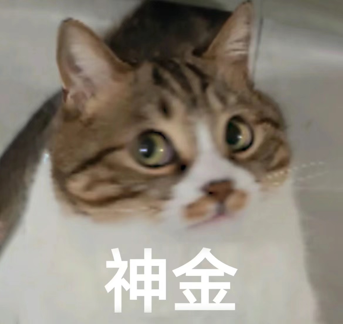 #女子小区里晒背遭汽车碾轧#车主应该起诉他故意碰瓷！这是公共场所  真把公共场所